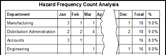 MS Access report screenshot.